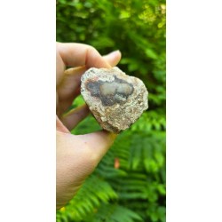 Bois Fossilisé - Brut 224 gr