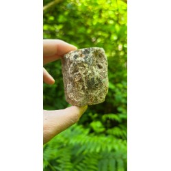 Bois Fossilisé - Brut 224 gr