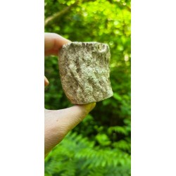 Bois Fossilisé - Brut 224 gr
