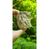 Bois Fossilisé - Brut 224 gr