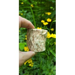 Bois Fossilisé - Brut 224 gr