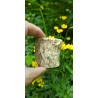 Bois Fossilisé - Brut 224 gr
