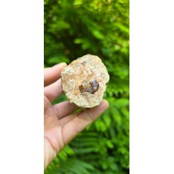Bois Fossilisé - Brut 224 gr