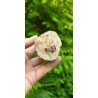 Bois Fossilisé - Brut 224 gr