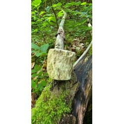 Bois Fossilisé - Brut 224 gr