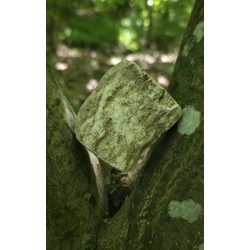 Bois Fossilisé - Brut 224 gr