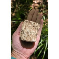 Bois Fossilisé - Brut 224 gr