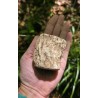 Bois Fossilisé - Brut 224 gr