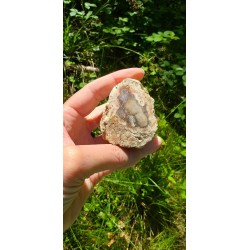 Bois Fossilisé - Brut 224 gr