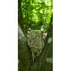 Bois Fossilisé - Brut 224 gr
