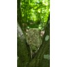 Bois Fossilisé - Brut 224 gr
