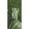 Bois Fossilisé - Brut 194 gr