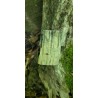 Bois Fossilisé - Brut 194 gr