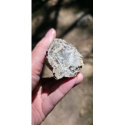 Bois Fossilisé - Brut 194 gr