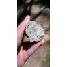 Bois Fossilisé - Brut 194 gr