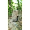 Bois Fossilisé - Brut 194 gr