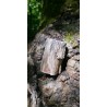 Bois Fossilisé - Brut 194 gr
