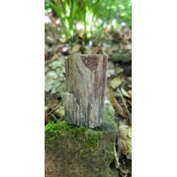 Bois Fossilisé - Brut 194 gr