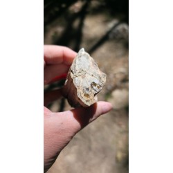 Bois Fossilisé - Brut 194 gr