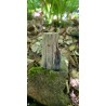 Bois Fossilisé - Brut 194 gr