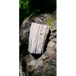 Bois Fossilisé - Brut 194 gr