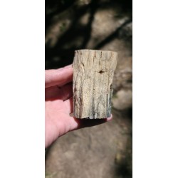 Bois Fossilisé - Brut 194 gr
