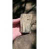 Bois Fossilisé - Brut 194 gr