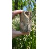 Bois Fossilisé - Brut 194 gr