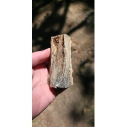 Bois Fossilisé - Brut 194 gr