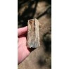 Bois Fossilisé - Brut 194 gr