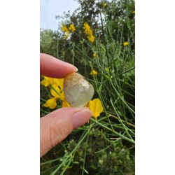 Préhnite - Polie 15 Gr