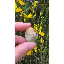 Préhnite - Polie 15 Gr
