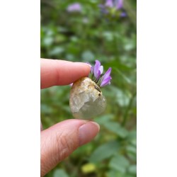 Préhnite - Polie 15 Gr