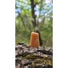 Zébradorite - Polie 6 gr