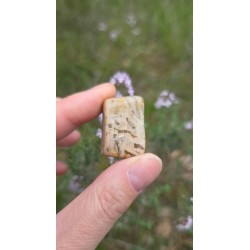 Zébradorite - Polie 10 gr