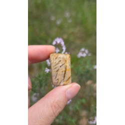 Zébradorite - Polie 10 gr