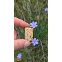 Zébradorite - Polie 10 gr