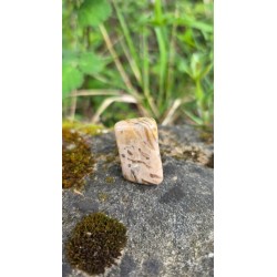Zébradorite - Polie 10 gr