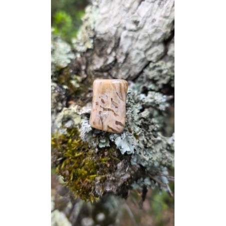 Zébradorite - Polie 10 gr