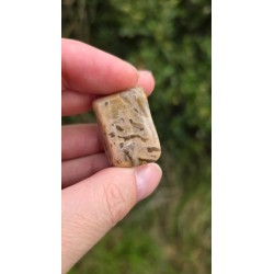 Zébradorite - Polie 10 gr