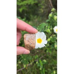 Zébradorite - Polie 14 gr