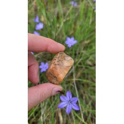 Zébradorite - Polie 14 gr