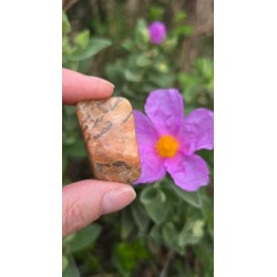 Zébradorite - Polie 14 gr