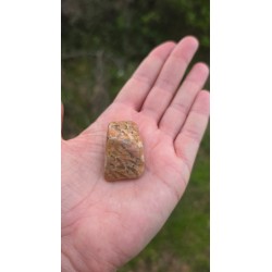 Zébradorite - Polie 14 gr