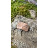 Zébradorite - Polie 14 gr