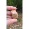 Zébradorite - Polie 14 gr