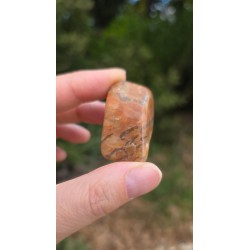 Zébradorite - Polie 14 gr