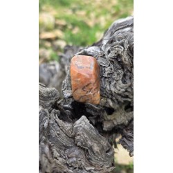 Zébradorite - Polie 14 gr