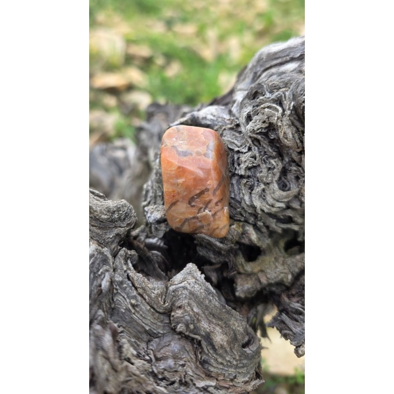Zébradorite - Polie 14 gr Zébradorite - Polie 14 gr