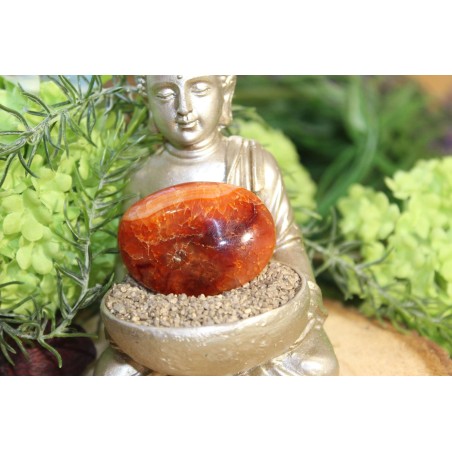 Cornaline - Polie 37 Gr